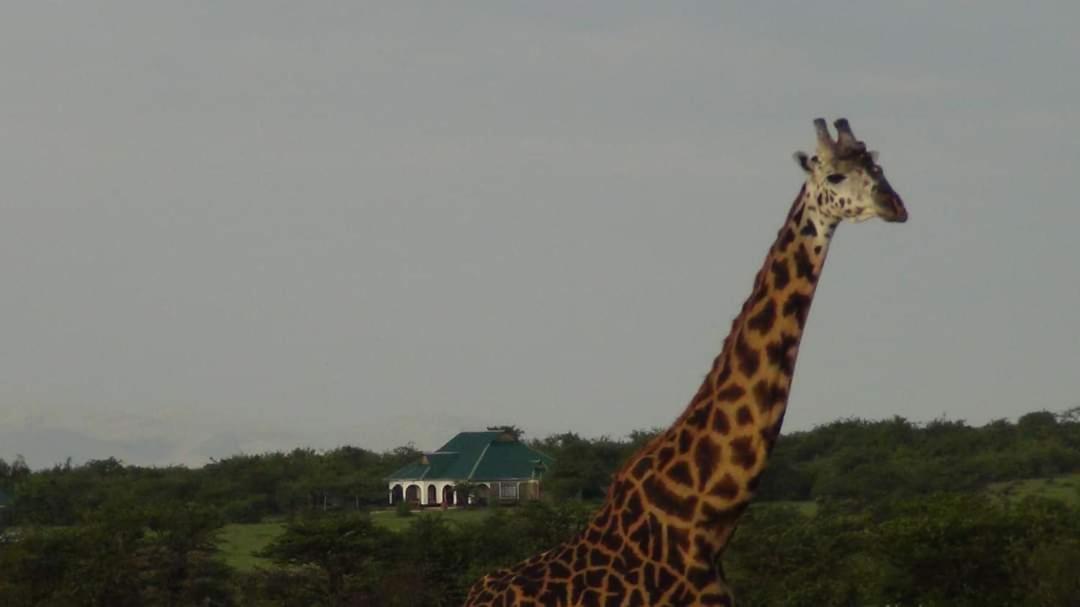 Narasha Homestay - Maasai Mara Talek 外观 照片
